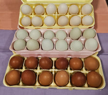 Load image into Gallery viewer, Fresh Free Range Farm Eggs