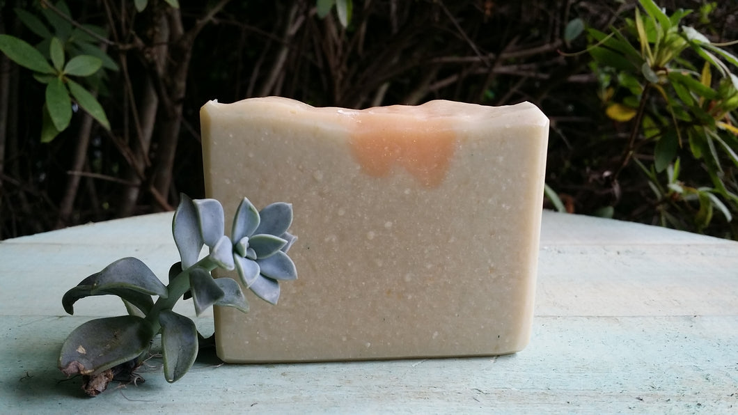 Sea Salt & Agave Goat Milk Soap