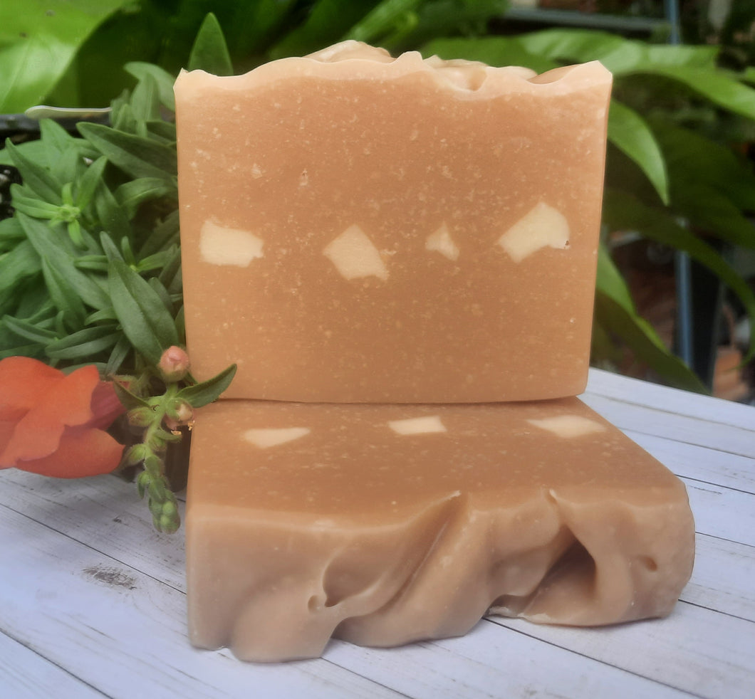 Sugared Chestnuts Goat Milk Soap